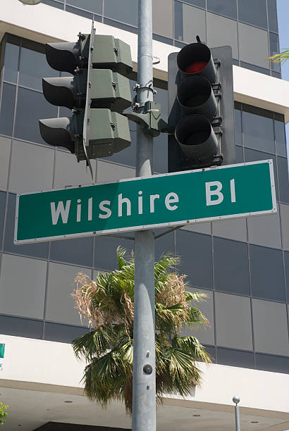 istock Wilshire Blvd. in Los Angeles 172910587