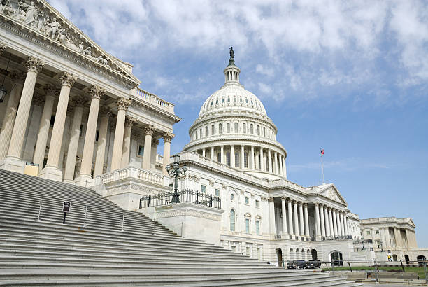 istock Steps of the US Capitol Building 172910649