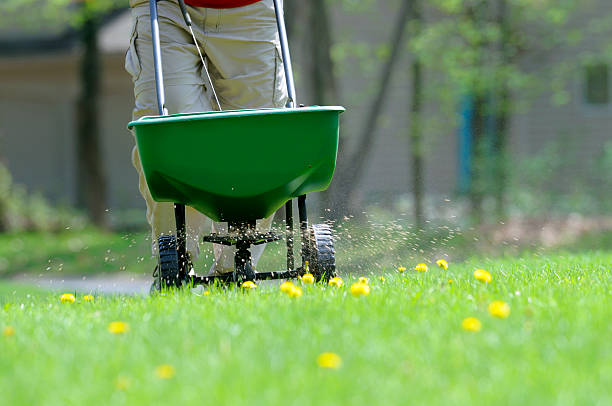 istock Applying weed and feed to the lawn. 172910894