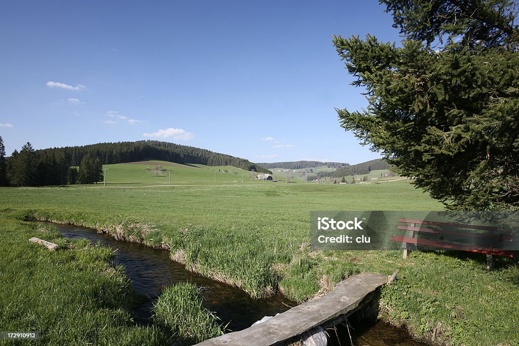 Abete panca, brook, meadow e tranquillo paesaggio - Foto stock royalty-free di Foresta Nera