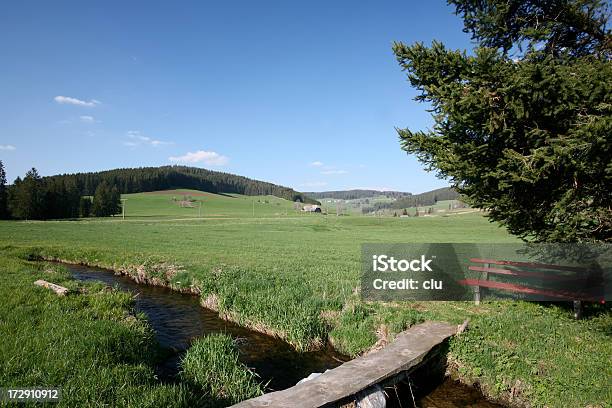 Abete Panca Brook Meadow E Tranquillo Paesaggio - Fotografie stock e altre immagini di Foresta Nera - Foresta Nera, Acqua, Abete