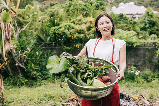 Japanese woman stands amidst the lush greenery of her garden, showing the fruits of her labor—a basket full of homegrown produce.\nMoui: モーウィ (赤毛瓜)\nChinese cucumber\nred gourd\nyellow cucumber\nOOITABI NO MI\npassion fruit