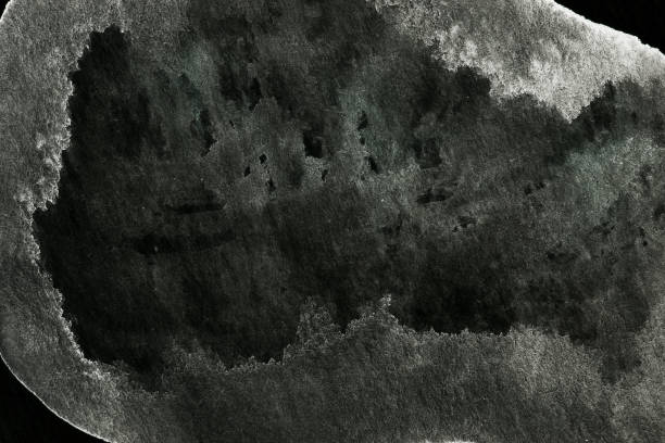 istock Black and white abstract background. Colorful acrylic ink blots and stains pattern, wallpaper print, fluid art. Creative backdrop, chaotic paint brushstrokes 1729116806