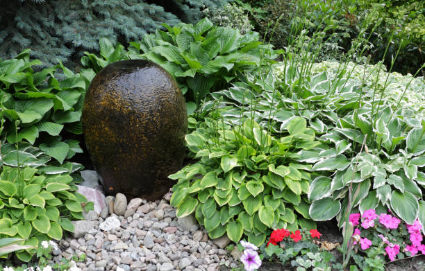 Stone fountain and pebbles in hosta garden