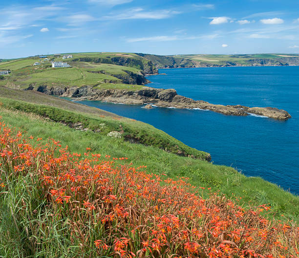 porto de isaac - cornwall england uk england port isaac imagens e fotografias de stock