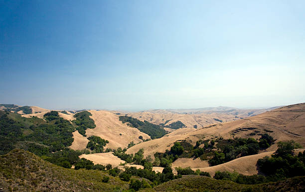 golden colline di paso robles, california - san luis obispo county california hill valley foto e immagini stock