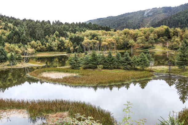 istock China Shangri La Pudacuo National Park 1729123655