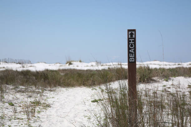 istock Endless road to the beach 172913056