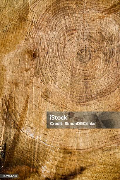 Holz Cross Abschnitt Stockfoto und mehr Bilder von Baum - Baum, Bildhintergrund, Forstwirtschaft