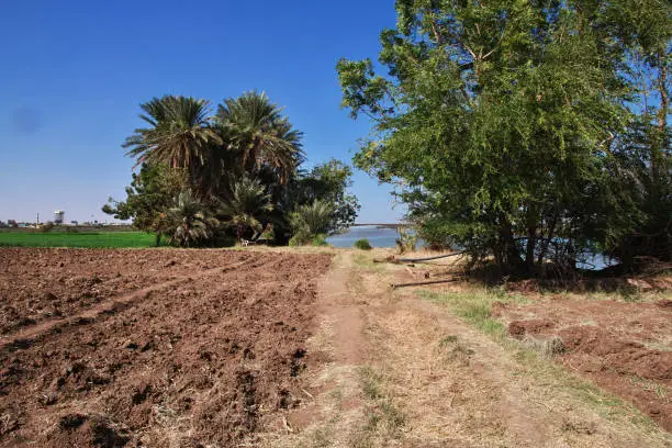 Photo of The garden in the small village on Nile river, Khartoum, Sudan