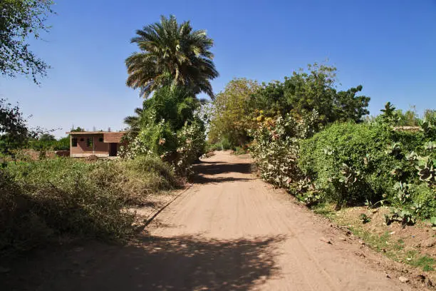 Photo of The garden in the small village on Nile river, Khartoum, Sudan