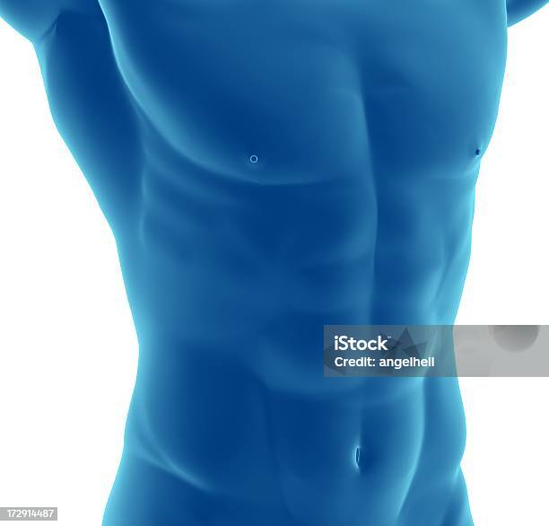 胴の筋肉の男性 - X線撮影のストックフォトや画像を多数ご用意 - X線撮影, カットアウト, スポーツマン