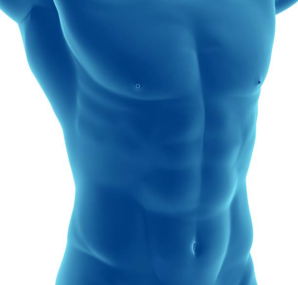 istock Muscular torso of a man 172914487