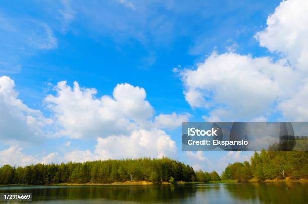 Lakeside Sky Panoramica - Fotografie stock e altre immagini di Acqua - Acqua, Albero, Ambientazione esterna