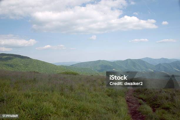 Montanha Vista - Fotografias de stock e mais imagens de Ao Ar Livre - Ao Ar Livre, Appalachia, Azul