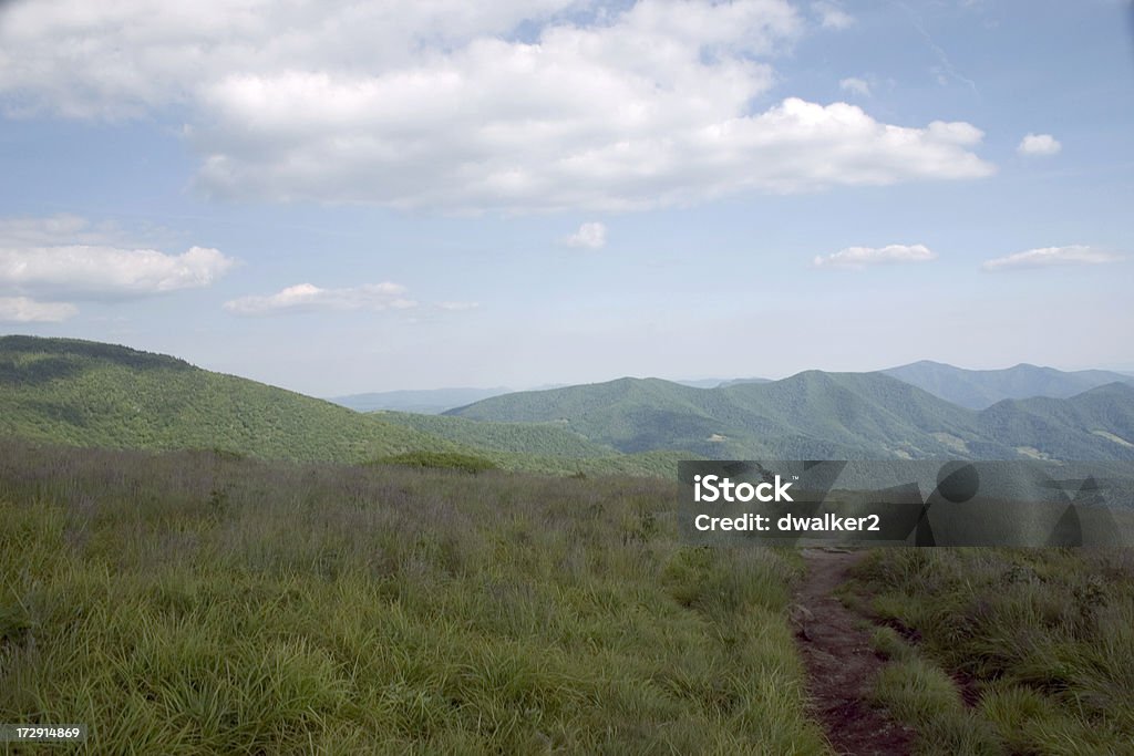 Номер категории Vista с видом на горы - Стоковые фото High Country роялти-фри