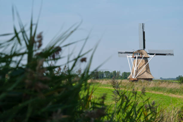 istock View on a traditional thatched dutch windmill in Hantum 1729149075