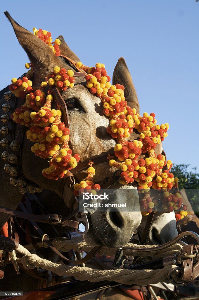 Sevillian Feria cavalli - Foto stock royalty-free di Andalusia
