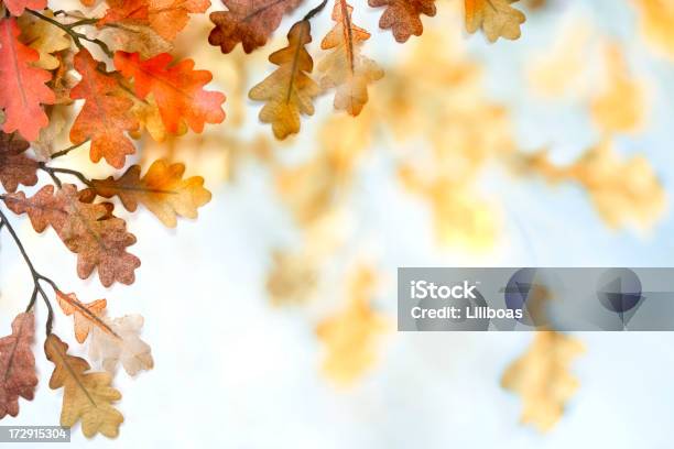 Autumn Leaves Stock Photo - Download Image Now - Oak Leaf, Angle, Artificial