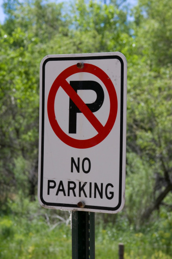 No Parking Sign with green trees in background.