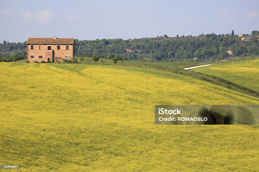 Masseria e un prato giallo in Val d'Orcia, Toscana, Italia - Foto stock royalty-free di Bellezza naturale