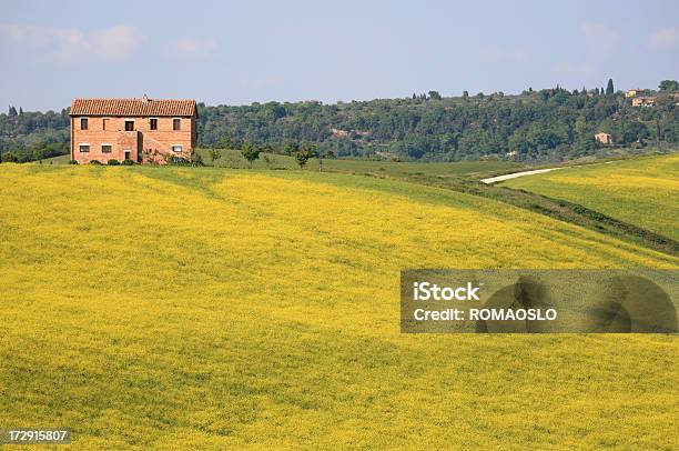 Masseria E Un Prato Giallo In Val Dorcia Toscana Italia - Fotografie stock e altre immagini di Bellezza naturale