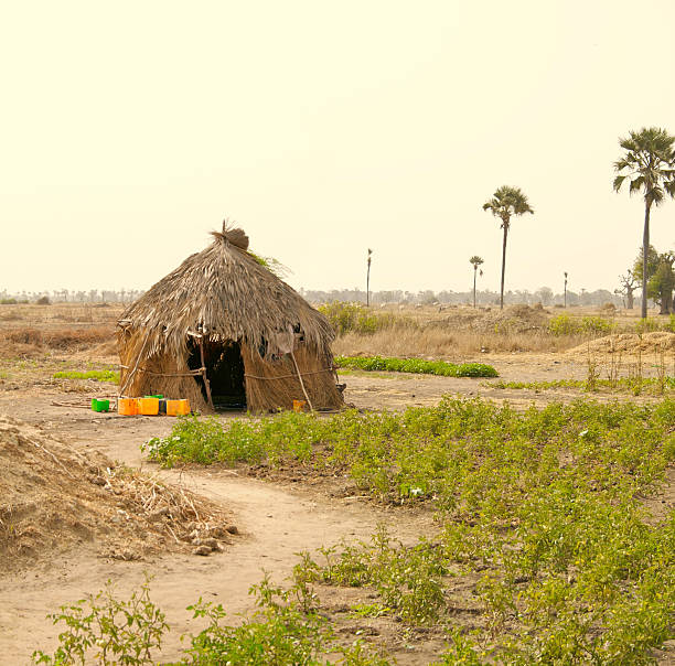 hébergement d'afrique - senegal africa footpath hut photos et images de collection