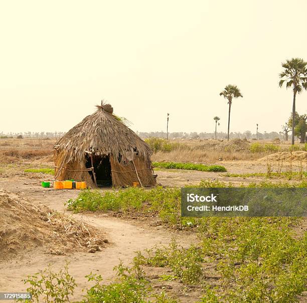 Photo libre de droit de Hébergement Dafrique banque d'images et plus d'images libres de droit de Sénégal - Sénégal, Afrique, Cabane - Structure bâtie