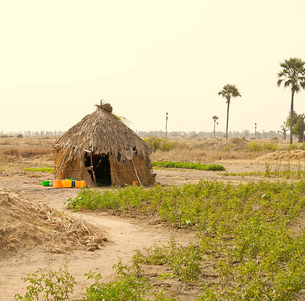 アフリカのハウジング - senegal africa footpath hut ストックフォトと画像