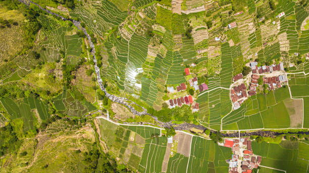 istock Farmland view from the top. Sumatra, Indonesia. 1729162502