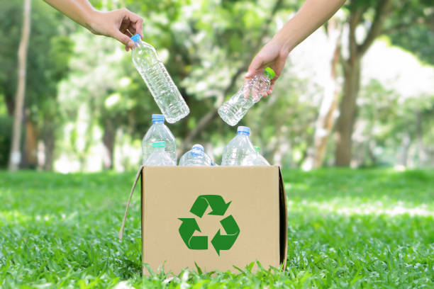 istock Man hand keep plastic bottle into paper box together at public park for recycling, reuse, reduce concept.sustainability, environment and package pollution.Ecological waste management and a sustainable. 1729164947