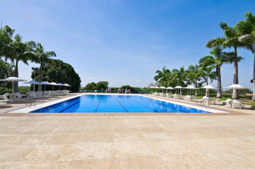 Competition Swimming Pool with Palm Trees at a Tropical Resort.