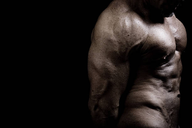 근육질의 토르소 선으로나 Bodybuilder 스톡 사진