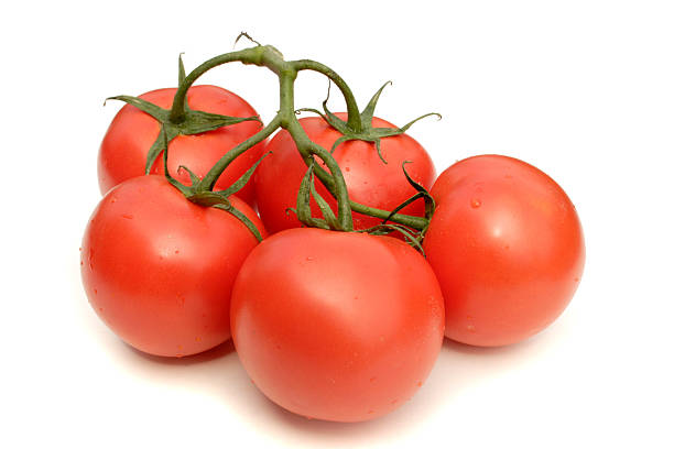 istock Tomatoes on the vine, isolated with clipping path 172916885