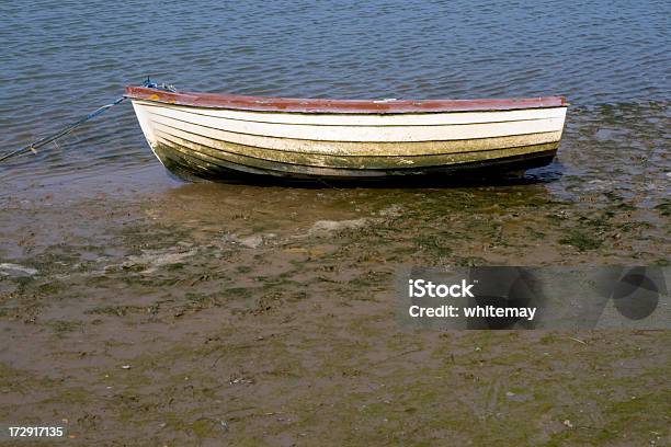 Photo libre de droit de Bateau Dans La Boue banque d'images et plus d'images libres de droit de Activité de loisirs - Activité de loisirs, Algue, Angleterre