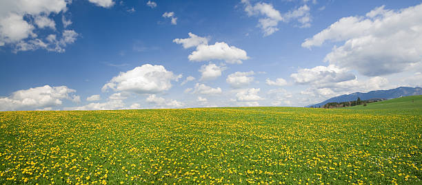 panorama-himmel - allgau field landscape bavaria stock-fotos und bilder