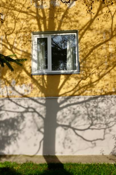 istock Shadow of Tree Branches Falls on a House - One Window 1729173809