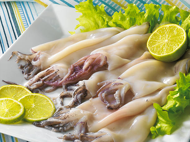 Squids stock photo