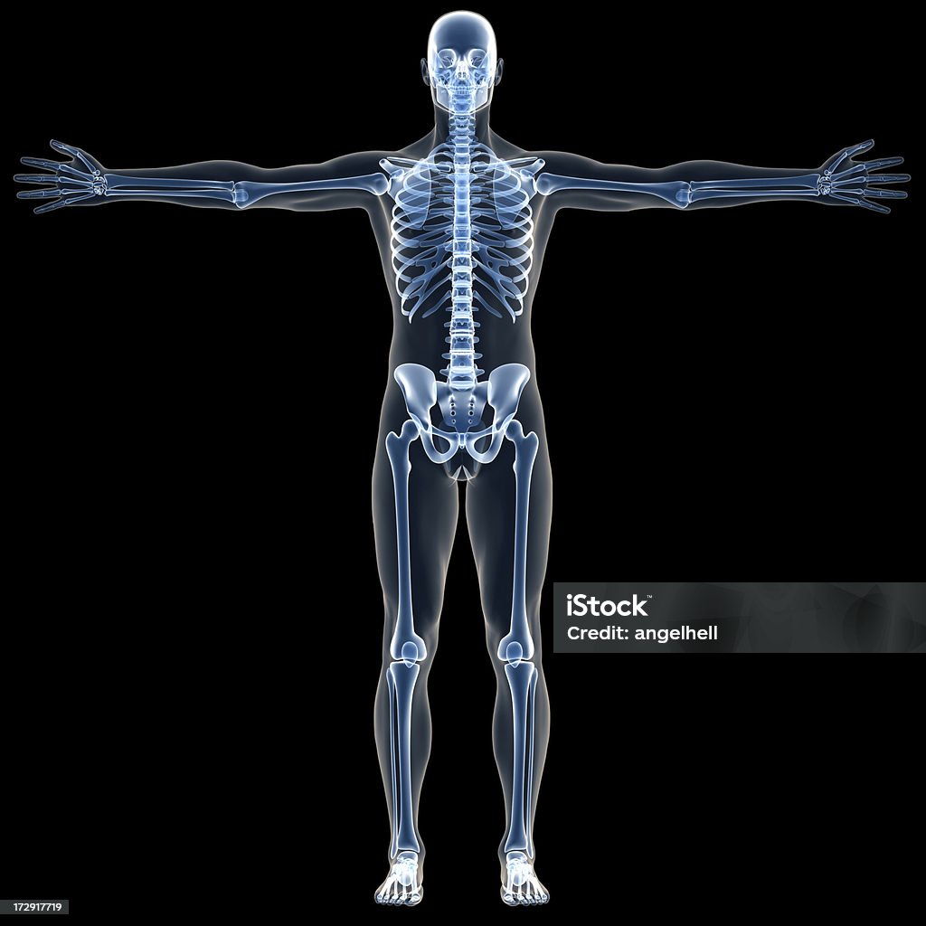 X-ray cuerpo humano de un hombre con el esqueleto durante el estudio - Foto de stock de Encuadre de cuerpo entero libre de derechos