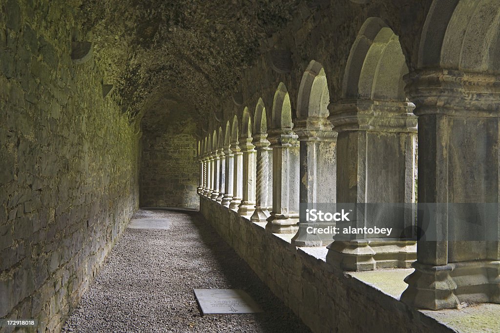 Irlanda: Archi in chiostro, Quinn Abbey - Foto stock royalty-free di Rovina