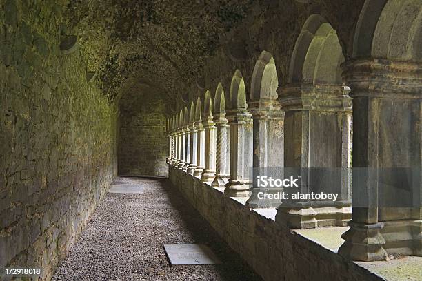 Irlanda Archi In Chiostro Quinn Abbey - Fotografie stock e altre immagini di Rovina - Rovina, Chiostro, Cultura irlandese