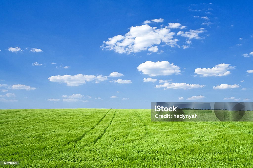 Panoramiczne wiosnę Krajobraz-Łąka, błękitne niebo i białe chmury - Zbiór zdjęć royalty-free (Bez ludzi)
