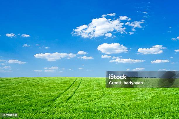 Panoramiczne Wiosnę Krajobrazłąka Błękitne Niebo I Białe Chmury - zdjęcia stockowe i więcej obrazów Bez ludzi