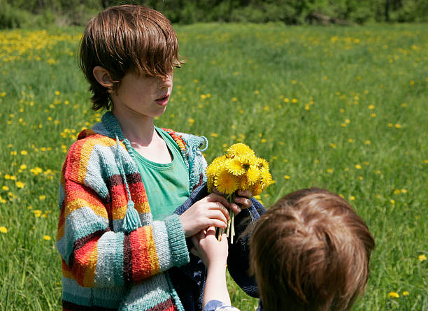 ramo de dandlion - parker brothers fotografías e imágenes de stock