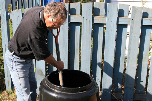 A DSLR photo of senior man holding a metal and wood shovel full of fresh compost over a black compost bin. There is beautiful green fern in background, it's a sunny summer day in the garden.