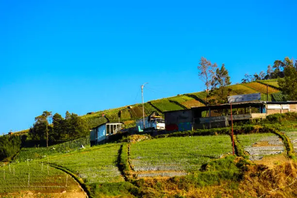 Photo of Rice fields in the mountains with a terasiring system