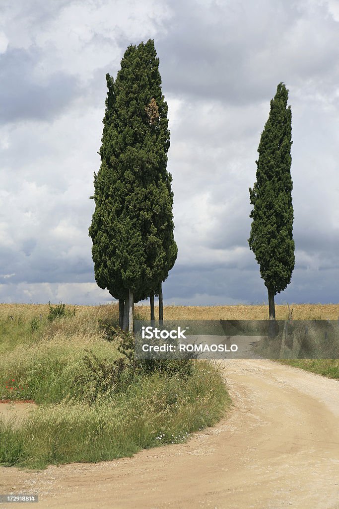 Tortuosa strada di cypress foderato in Toscana, Crete Senesi Italia - Foto stock royalty-free di Agricoltura