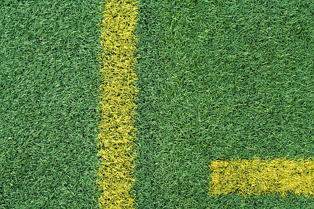 istock Green Artificial Turf on Football Field with Yellow Stripe 172919726