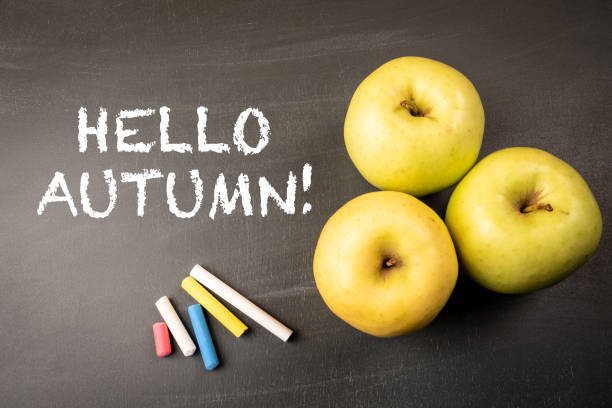 istock Hello Autumn! Green apples on a dark chalkboard backgroun 1729197451