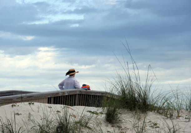 istock Woman Looking out at Peaceful Beach Scene 172919812